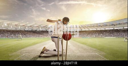 Rear View Of Cricket Ball Hitting the Stumps Behind the Batsman Stock Photo