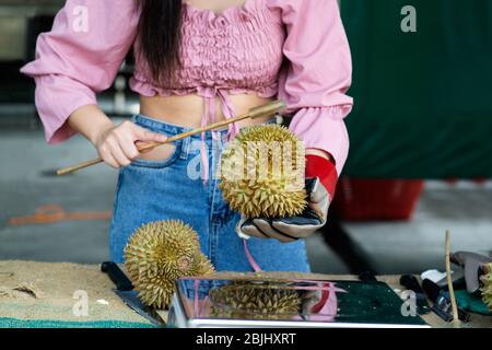 Asian pretty female vendor use bamboo to picking durian ripe fruit
