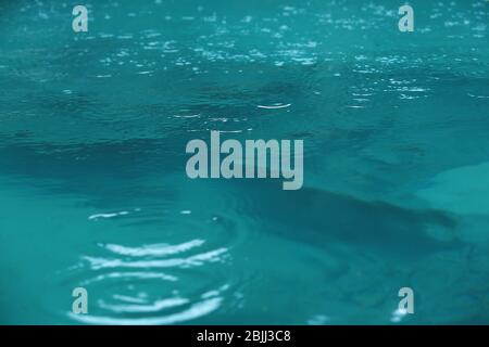 Rain drops falling on water surface Stock Photo