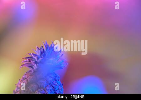 Pineapple in futuristic multicolored neon light background, place for text, soft focus Stock Photo