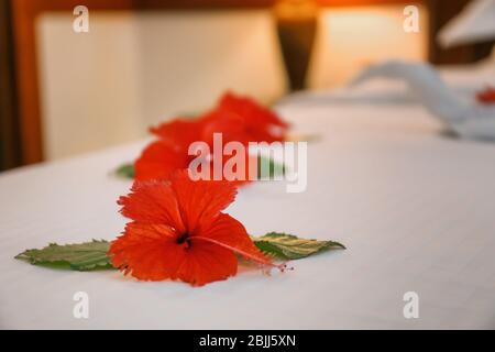 Beautiful flowers on bed in hotel room Stock Photo