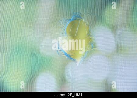 Torn window screen, closeup Stock Photo