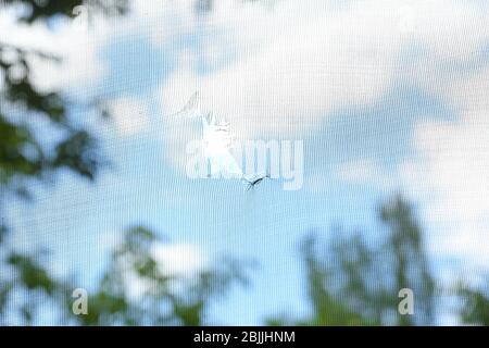 Torn window screen, closeup Stock Photo