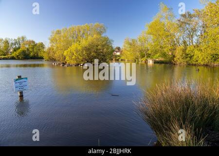 Lake and trees at Buckley Common, Flintshire, North Wales Stock Photo