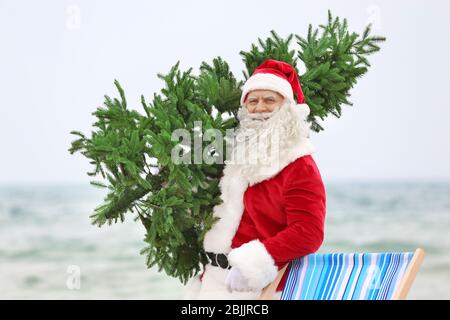 Authentic Santa Claus with Christmas tree on beach Stock Photo