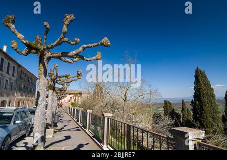 Small street with funny trees and view on italian hills. Montepulciano, Tuscany, Italy. Stock Photo