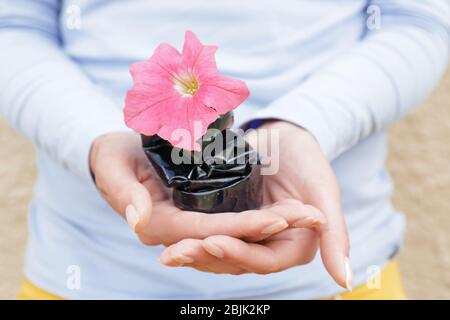 Woman holding crushed tin can with flower. Recycling garbage concept Stock Photo