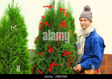 Young man decorating plant with Christmas lights in yard Stock Photo