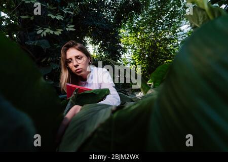 Young agricultural engineer examines leaves in greenhouse Stock Photo
