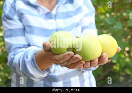 Female farmer holding fresh apples outdoors Stock Photo