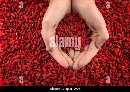 Hands of woman holding red dried goji berries Stock Photo