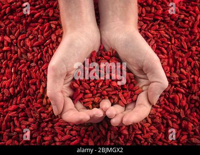Hands of woman holding red dried goji berries. Heart health concept Stock Photo