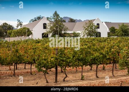 South Africa; Stellenbosch; Dorp Street. town centre vineyard at Rupert Museum Stock Photo