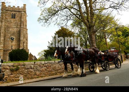 Traditional Shire horses & carriage delivering shopping to a local village during lockdown with a horseshoe painted in the NHS rainbow colours Stock Photo