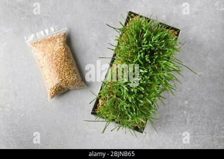 Sprouter with wheat grass and seeds in plastic package on table Stock Photo