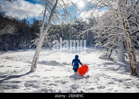 Boy carrying a sledge through the snow, USA Stock Photo