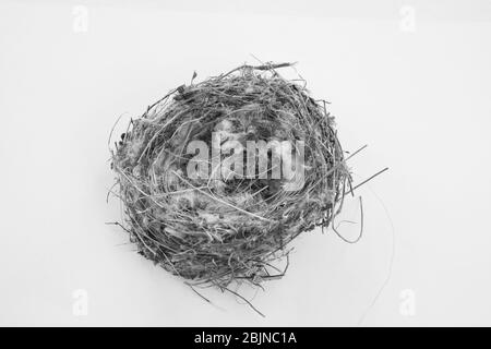 Beautiful bird nest in black & white Stock Photo