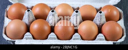 Eggs in tray, group of 10 eggs. Stock Photo