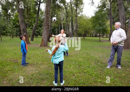 Senior man and woman playing with grandchildren in park Stock Photo