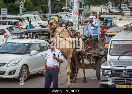 Jaipur, Rajasthan / India - September 28, 2019: Traffic police officer directing traffic with cars and a Camel pulling cart, Jaipur, Rajasthan, India Stock Photo