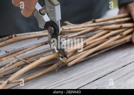 nesting aid for wild bees, step two, cutting pithy stems in 1 m pieces Stock Photo