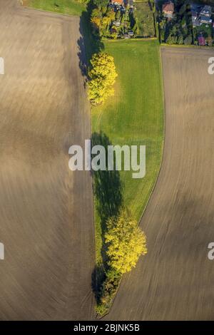 , meadow between field in autumn, 31.10.2016, aerial view, Germany, North Rhine-Westphalia, Ruhr Area, Hamm Stock Photo