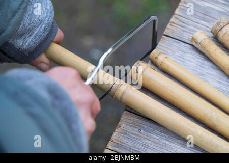 nesting aid for wild bees, step one: sawing bamboo in 20 cm long pieces Stock Photo