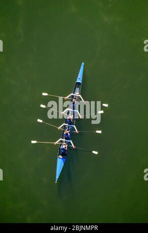 rowing boat on lake Hennesee in Meschede, 16.10.2016, aerial view, Germany, North Rhine-Westphalia, Sauerland, Meschede Stock Photo
