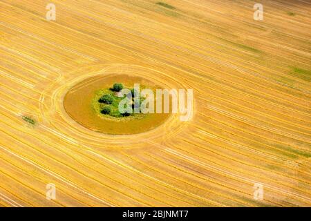 , dried pond in a field in Basedow, 24.07.2016, aerial view, Germany, Mecklenburg-Western Pomerania, Basedow Stock Photo