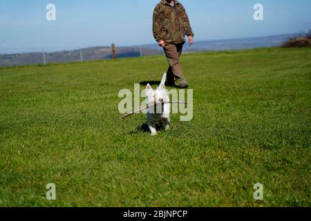 Woodland setting in Emsworthy Nature Reserve Stock Photo