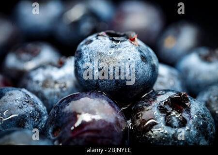 Fresh Blueberry Background. Texture blueberry berries close up. Ripe blueberries with copy space for text. Fresh blueberries scattered. Macro Stock Photo