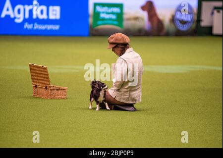 CRUFTS: Heelwork to Music Competition on the 5th March 2020 Stock Photo