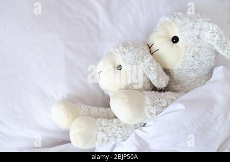 Two sheep stuffed toys animals lying in the bed. Family, togetherness, protection, mother sleeping with child concept. Top view. Copy space. Stock Photo