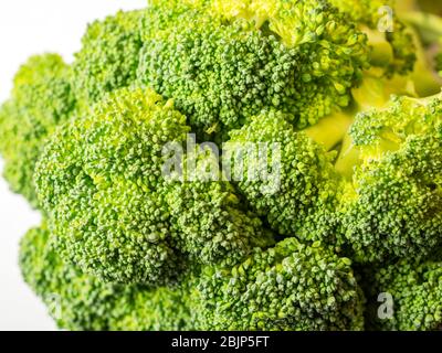Close up of fresh Calabrese broccoli against a white background Stock Photo