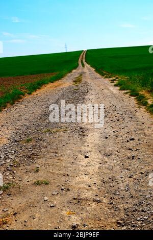 empty road through spring landscape in the Eifel Stock Photo