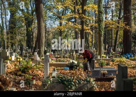 A woman clears fallen leaves at Rakowicki Cemetery in Krakow, Poland 2019. Stock Photo