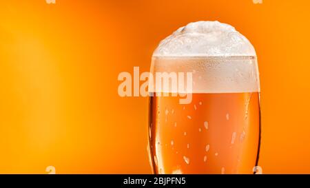 Lager beer settles in the glass with a white cap of foam Stock Photo