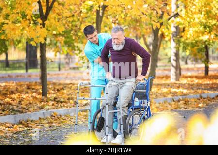 Young caregiver walking with senior man in park Stock Photo