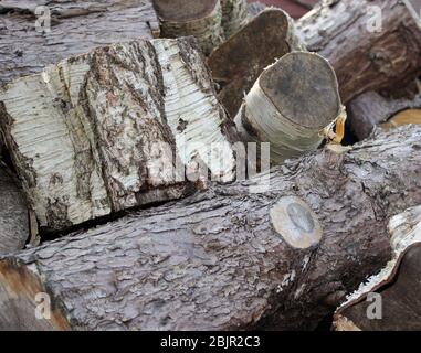 Log pile in springtime ready for winter weather Stock Photo