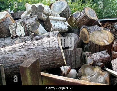 Log pile in springtime ready for winter weather Stock Photo