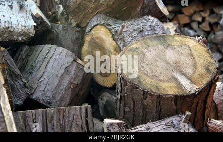 Log pile in springtime ready for winter weather Stock Photo