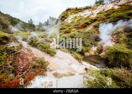 Wairakei Natural Thermal Valley in New Zealand Stock Photo