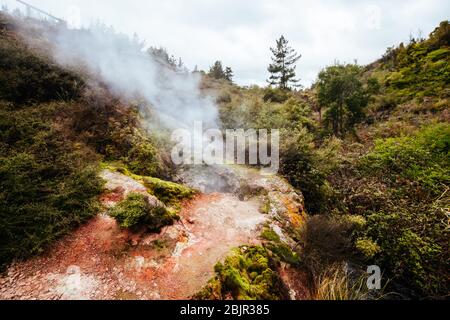 Wairakei Natural Thermal Valley in New Zealand Stock Photo