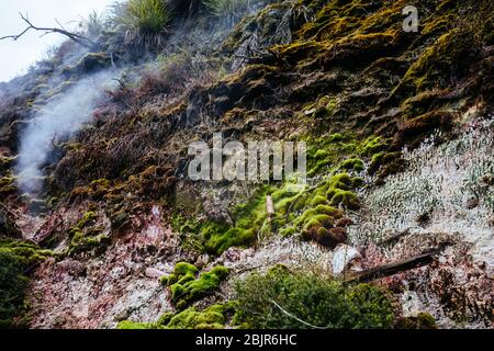 Wairakei Natural Thermal Valley in New Zealand Stock Photo