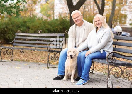 Mature couple with their dog resting in park Stock Photo