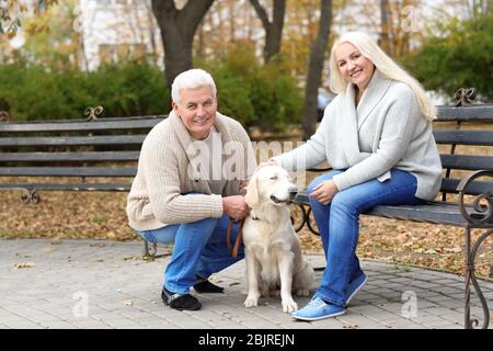 Mature couple with their dog resting in park Stock Photo