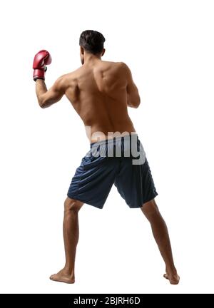 Attractive young boxer on white background Stock Photo