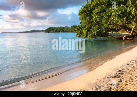 Sunset on idyllic sand beach blue lagoon champagne coast on Espiritu Santo island Vanuatu Stock Photo