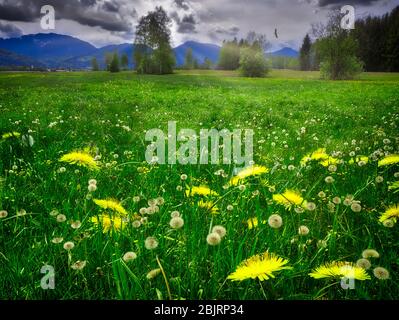 DE - BAVARIA: Distant rains at Hoffilze moorlands near Bichl (HDR-Image) Stock Photo