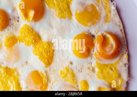 fried eggs of quail eggs in the shape of a circle on a white background. close up copy space Stock Photo